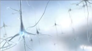 Neurone